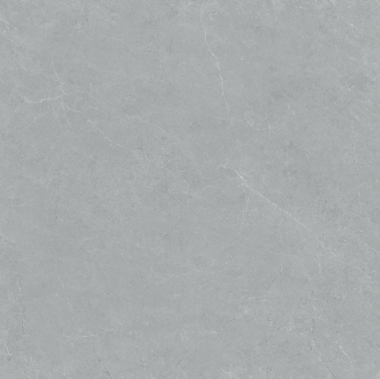SJ800P1003-4