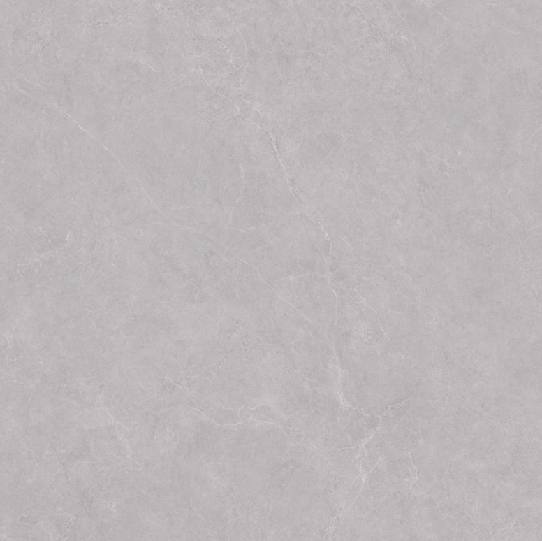 SJ800P1022-2