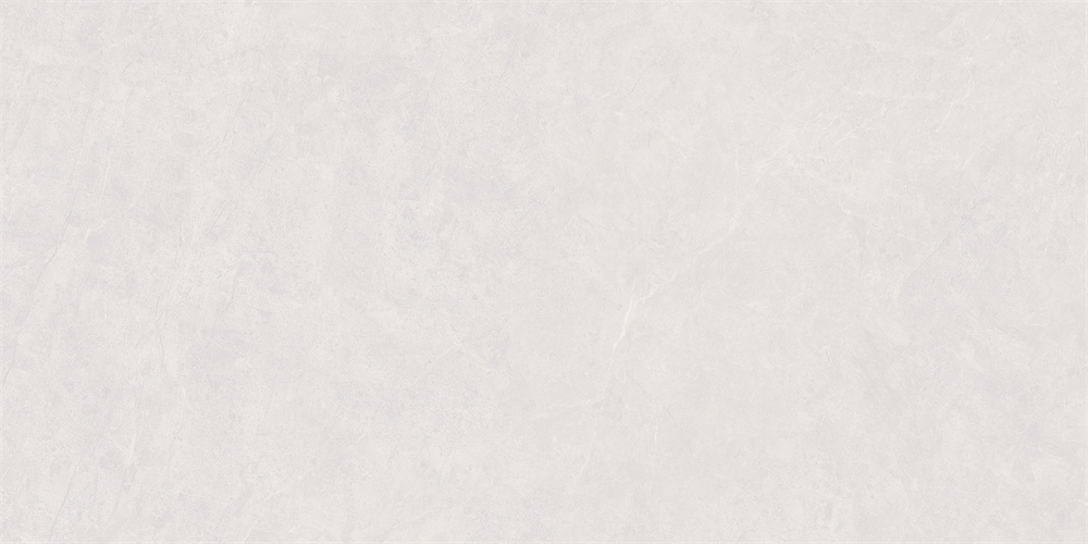 S48L23A-2