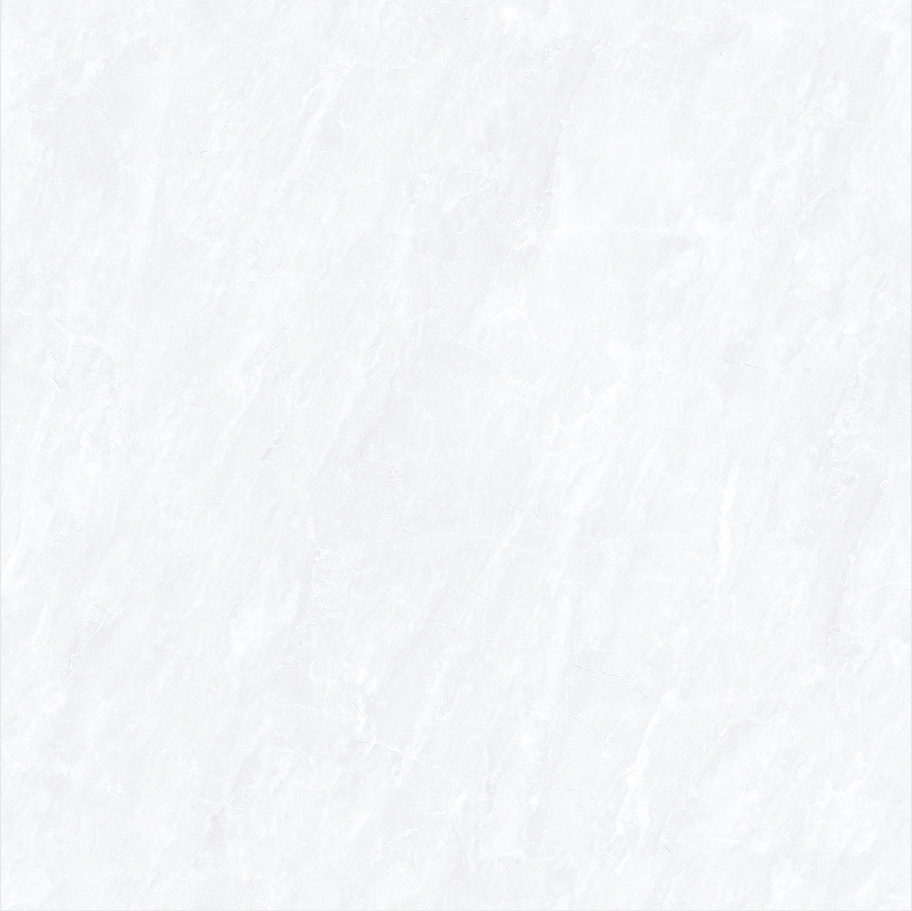 SG800P1001-4