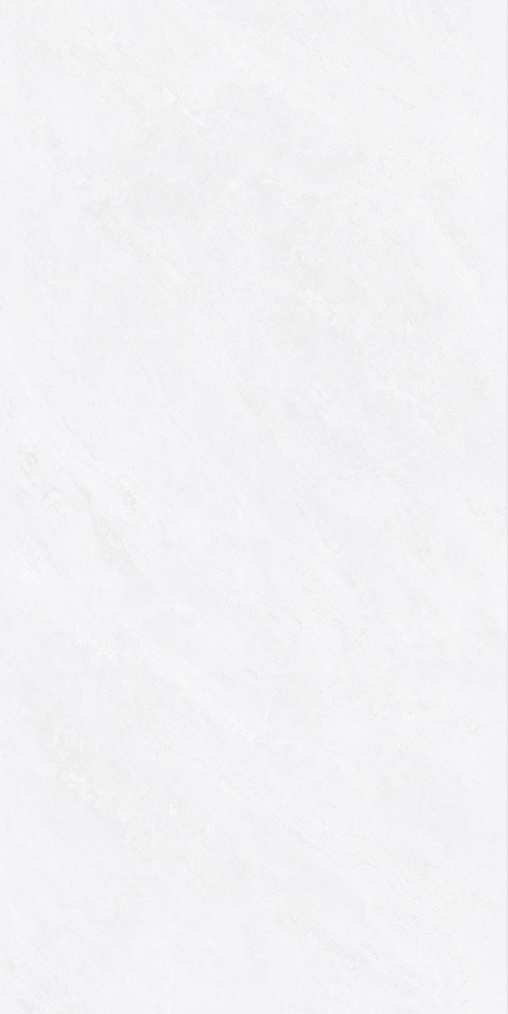 SW480K1801-4