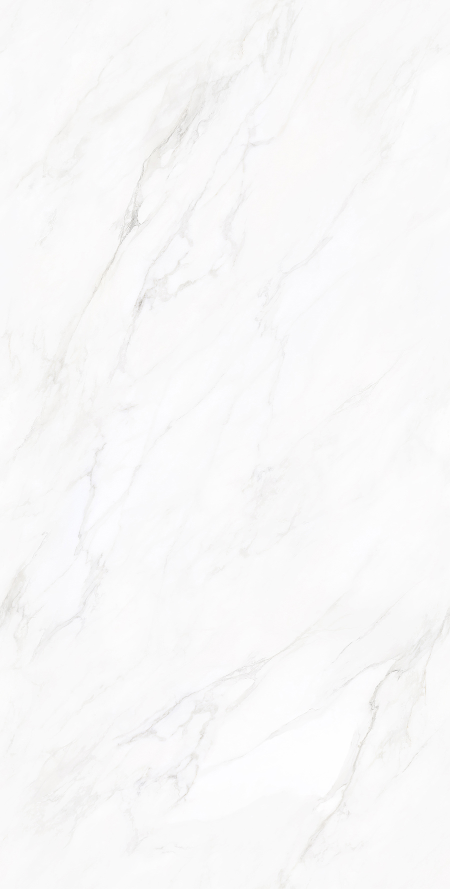 SA715B2050艾丽亚白-4