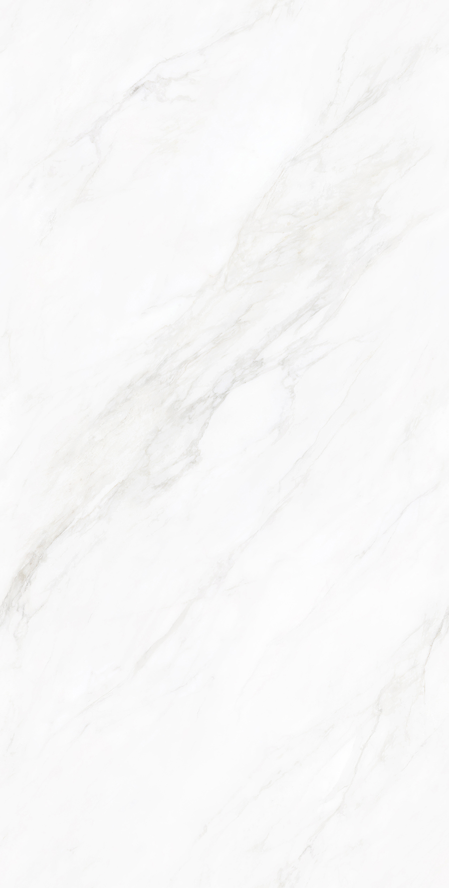 SA715B2050艾丽亚白-3