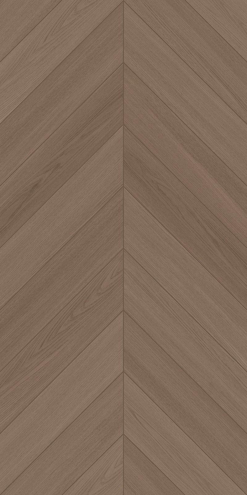 SF612Y036枫咖鱼骨-2