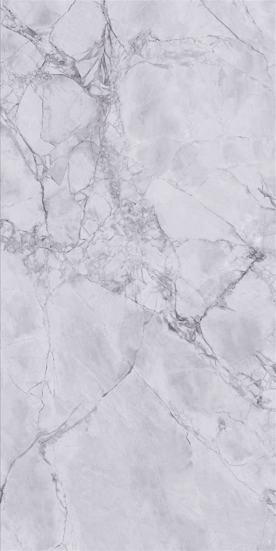 1224H09HB16鱼肚灰-3