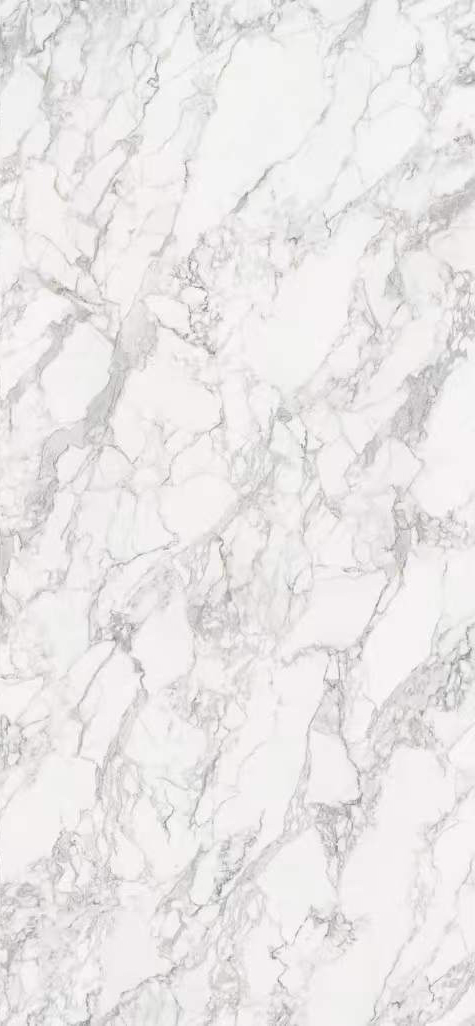 1224H09HB19网纹大花白-3