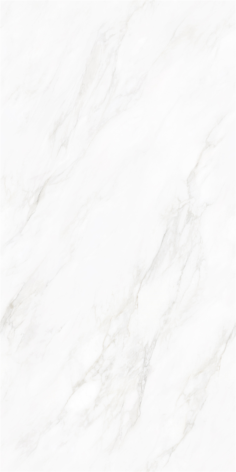 SA715B2050艾丽亚白-2