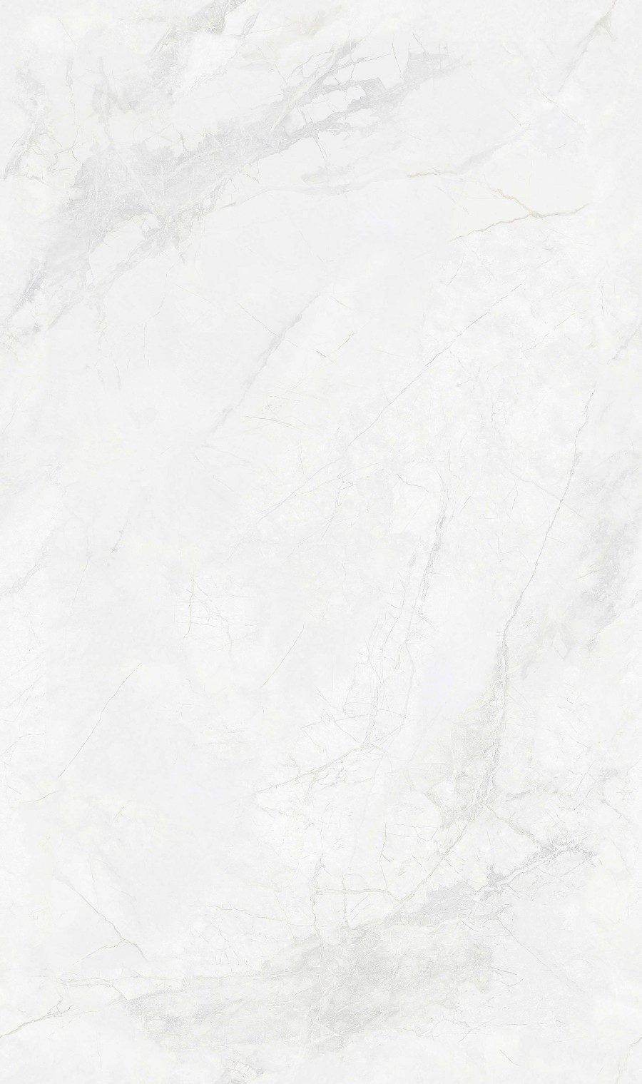 SA8135P0011寒江雪-3