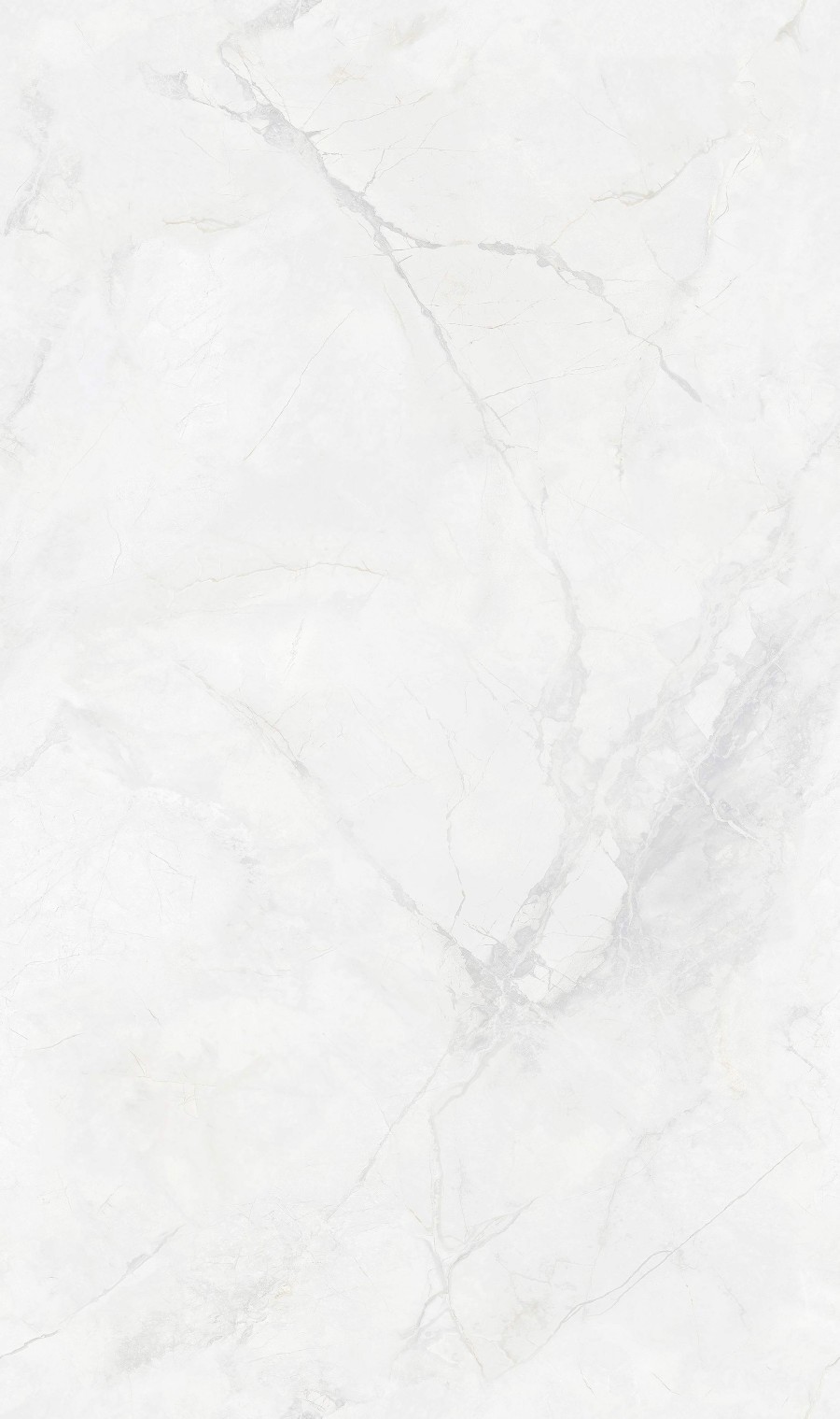 SA8135P0011寒江雪-2