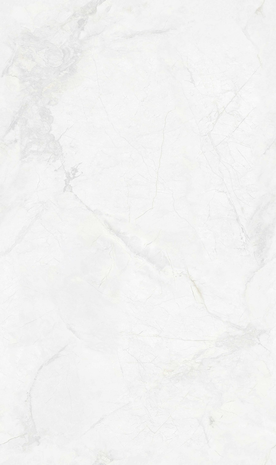 SA8135P0011寒江雪-4